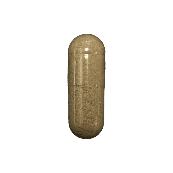 Big Libido